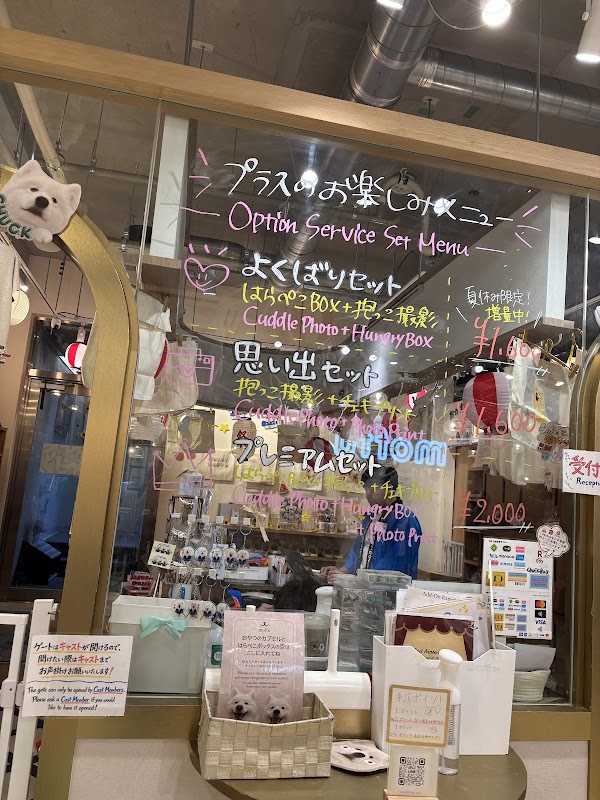 Samoyed Cafe moffu harajuku / Samoyed Lounge moffu 2