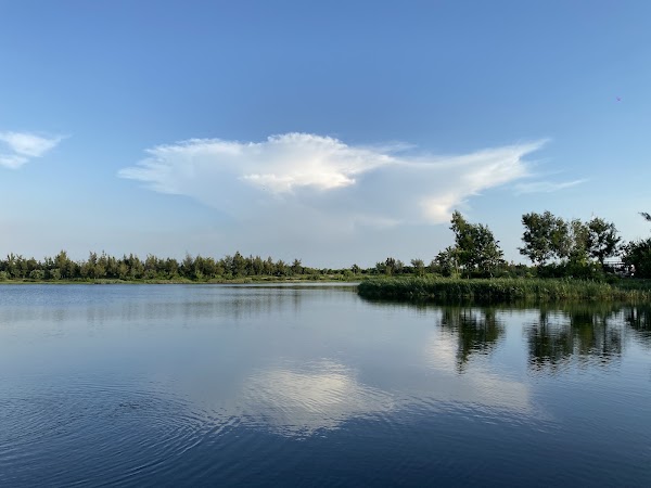 Yiwu Wet Pond 5