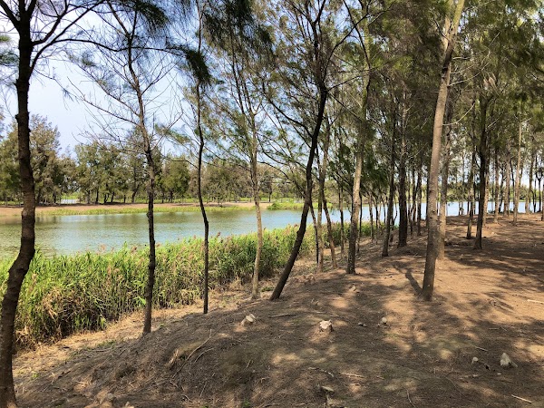 Yiwu Wet Pond 4