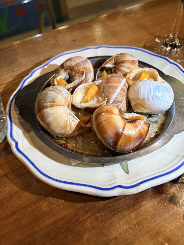 Snail Bar 4