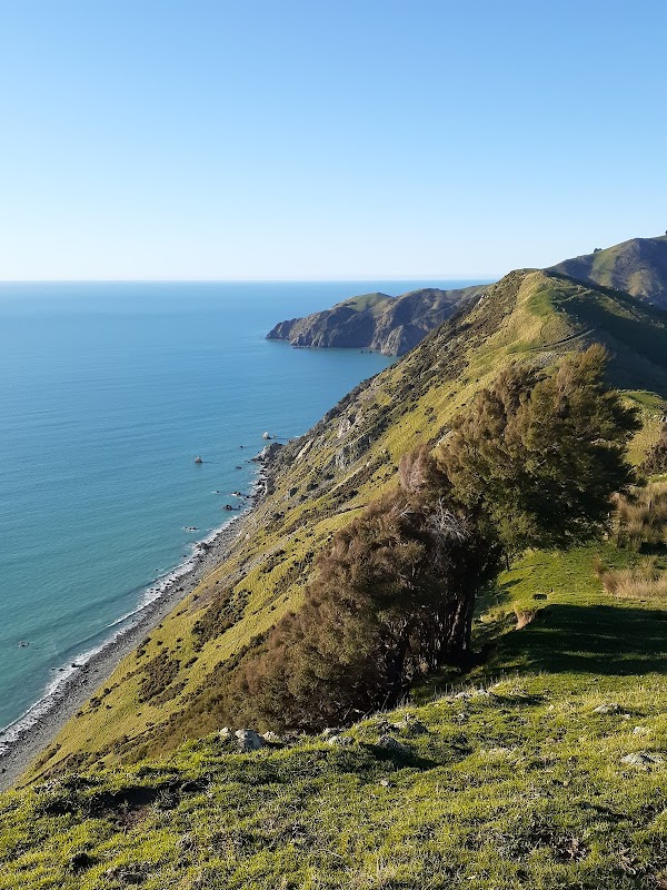 Cable Bay Walkway 1
