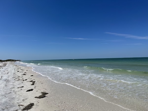 Honeymoon Island State Park 1