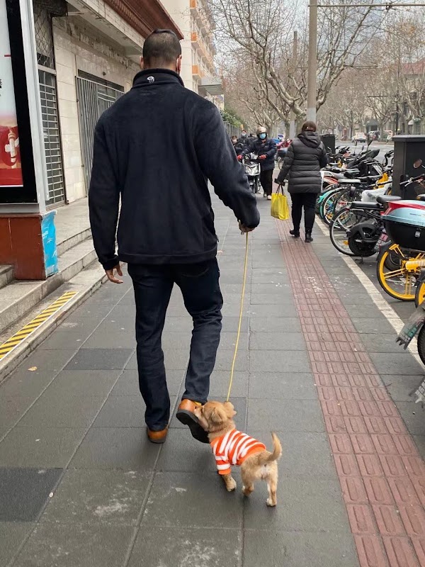 Yuyuan Road 1