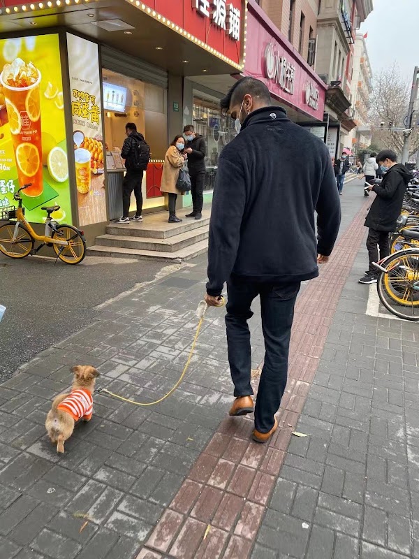 Yuyuan Road 2