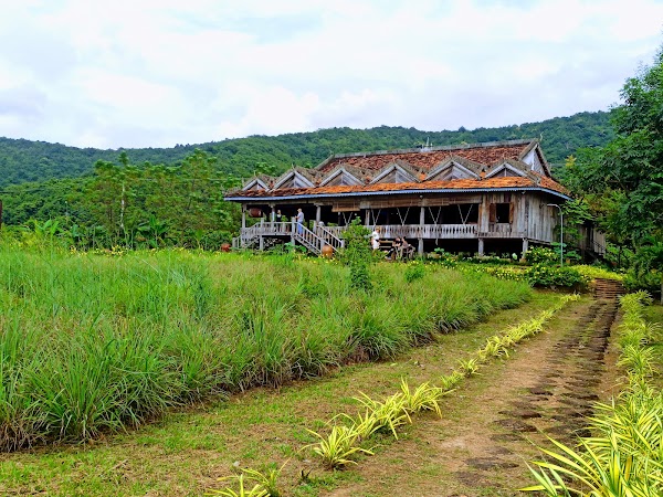La Plantation 5