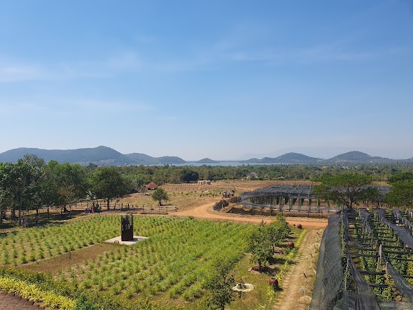 La Plantation 4