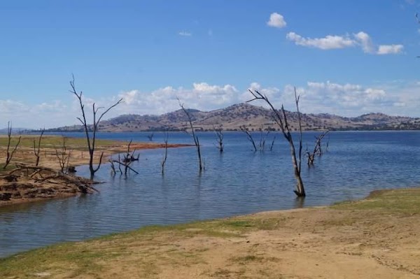 Ludlows Reserve 5