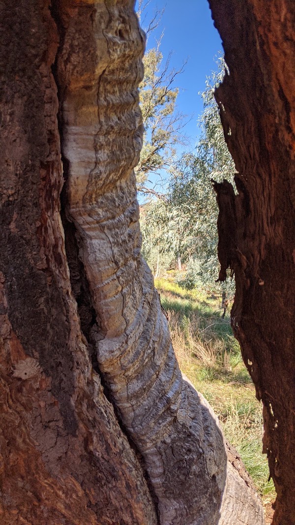 Bunyeroo Valley