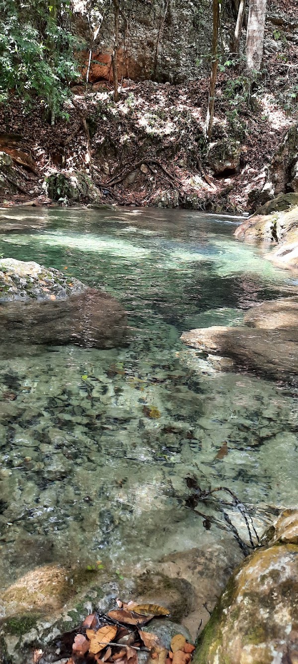 River El Mulito
