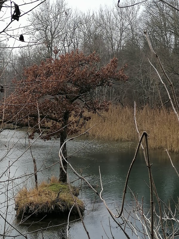 Fischlham 4