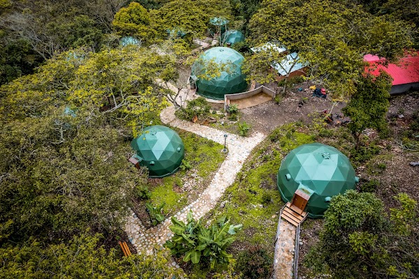 Super Jungle Domes 4