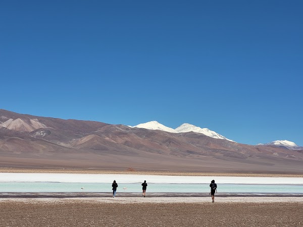 Salar de Maricunga