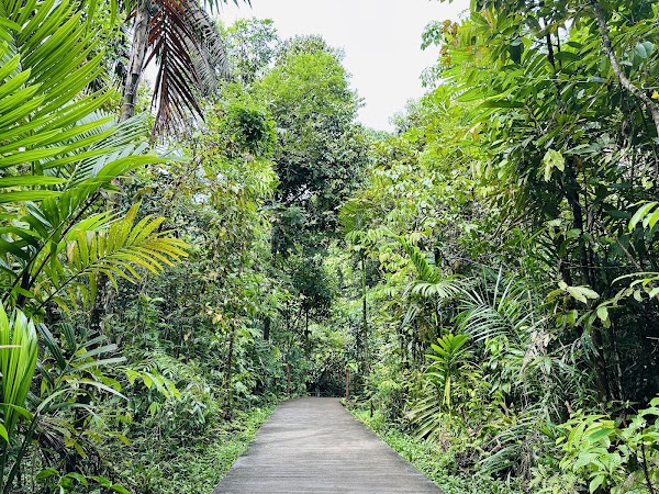 Windsor Nature Park 5