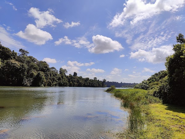 Windsor Nature Park 2