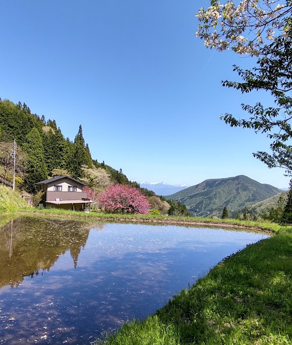 Achi