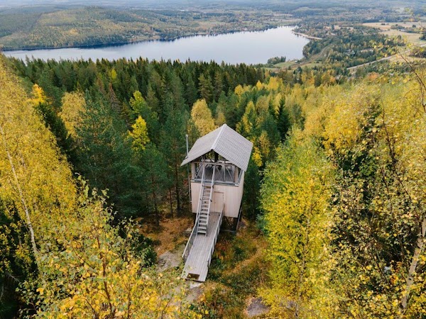 Bergaliv