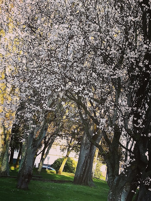 Paramé