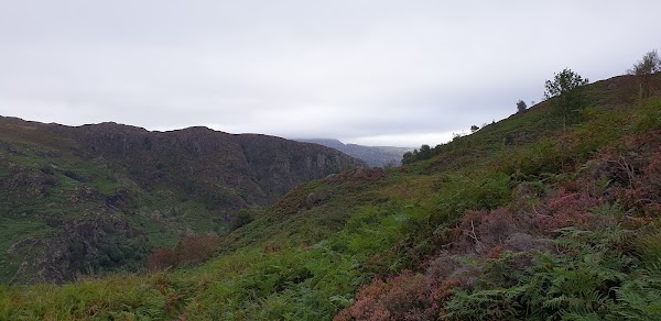 Aberglaslyn Woods