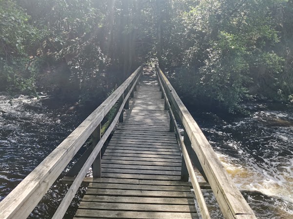 Latokartanonkoski Rapids