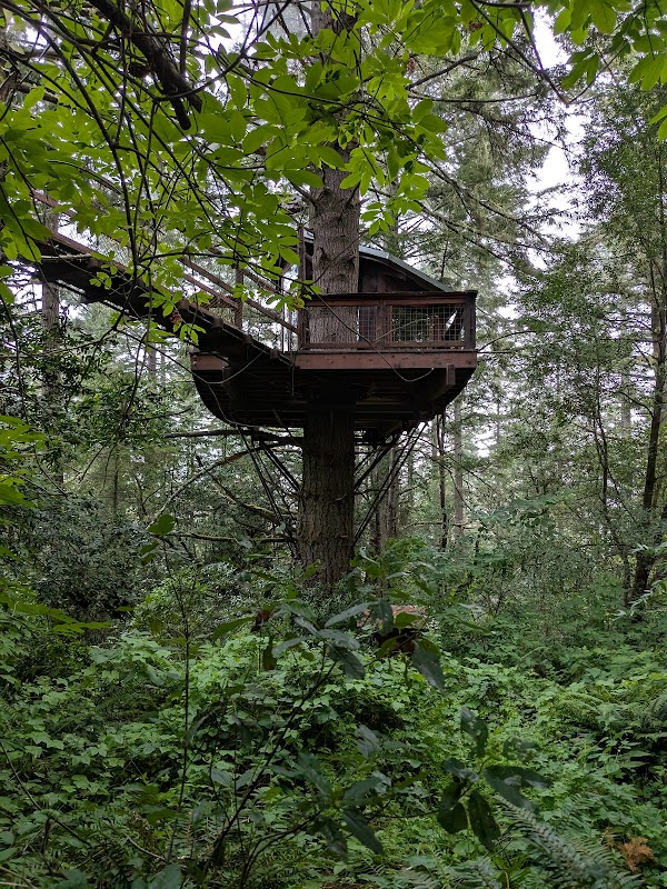 Eagles Nest Treehouse 3