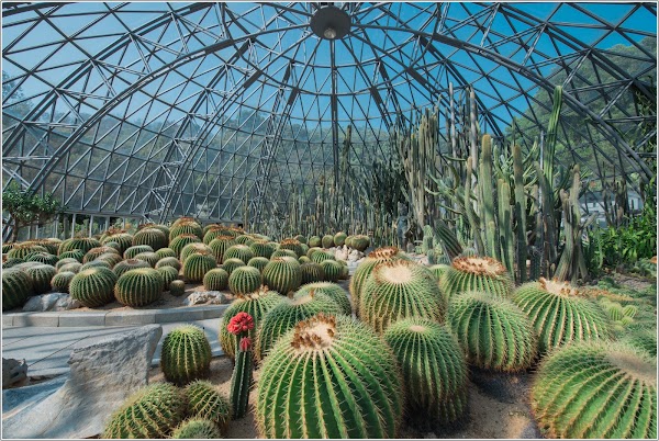 仙湖植物园
