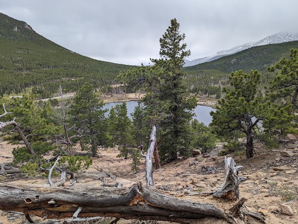 Lily Lake 5