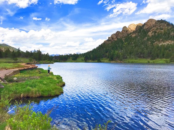 Lily Lake 2