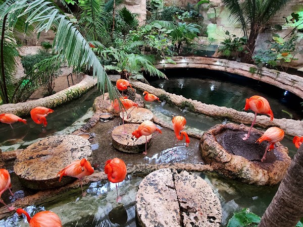The Dallas World Aquarium 1