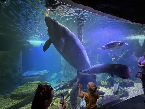 The Dallas World Aquarium 6