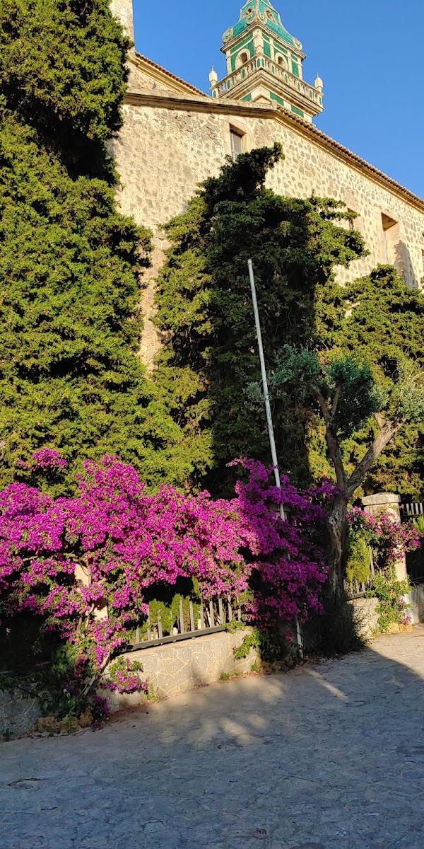 Valldemossa 4