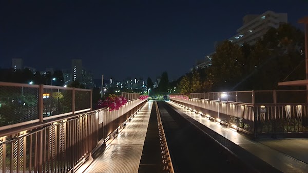 Old Gyeongchun Line Railroad Bridge 4