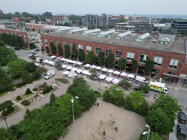 Marché Angus 4
