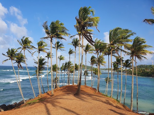 Mirissa Beach 5