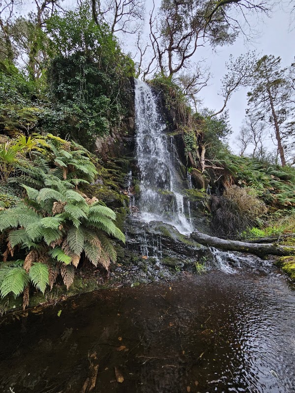 Kells Bay House and Gardens 4