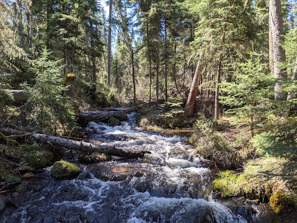 Karst Spring Trail
