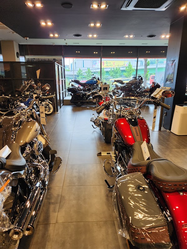HARLEY-DAVIDSON Hannam 2