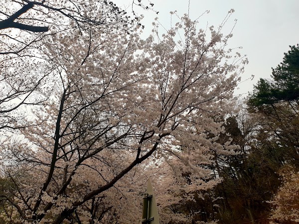 만덕고개 누리길 전망데크 4