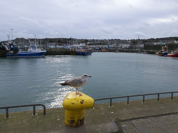 Howth 4