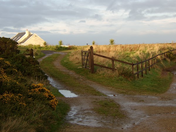 Howth 2