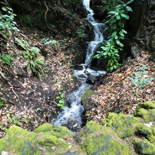 Lover's Walk