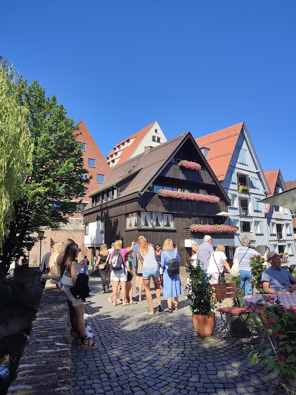 Ulm 3