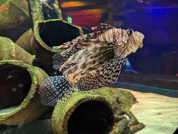 SEA LIFE Melbourne Aquarium 3