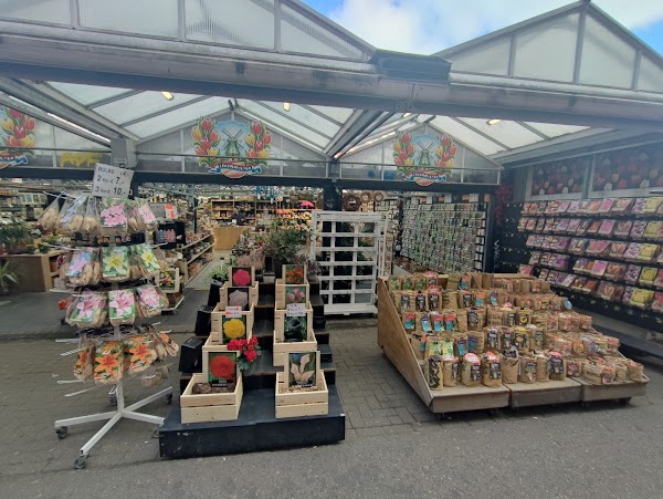 Flower Market 6