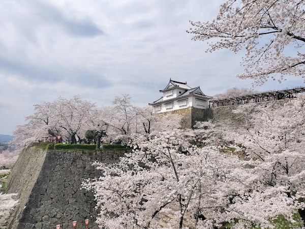 Tsuyama Castle