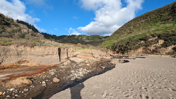 Wildcat Beach 4