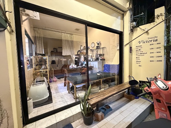 VICTORIA HAIR DESIGN