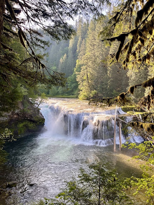 Lower Falls Campground 4