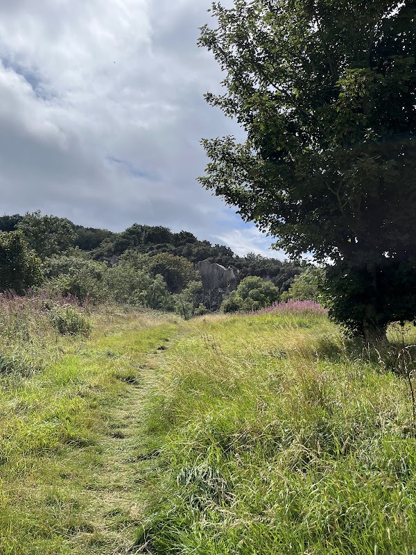 Dalkey Quarry 3