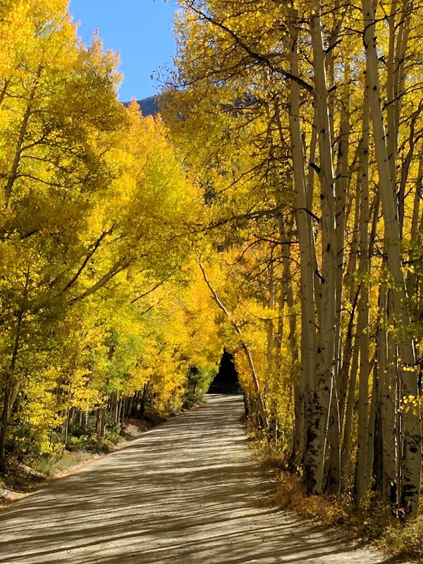Boreas Pass 1