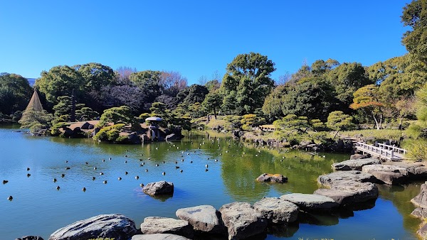 Tokyo Spring: Festival guide🌸🌷 8